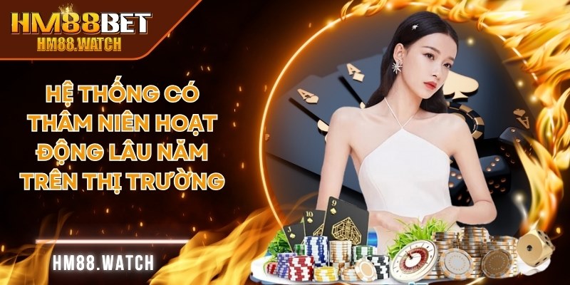 Hệ thống có thâm niên hoạt động lâu năm trên thị trường